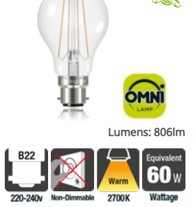 Integral Classic Globe (GLS) Omni-Lamp 6.3W (60W) 2700K 806lm B22 Non-Dimmable